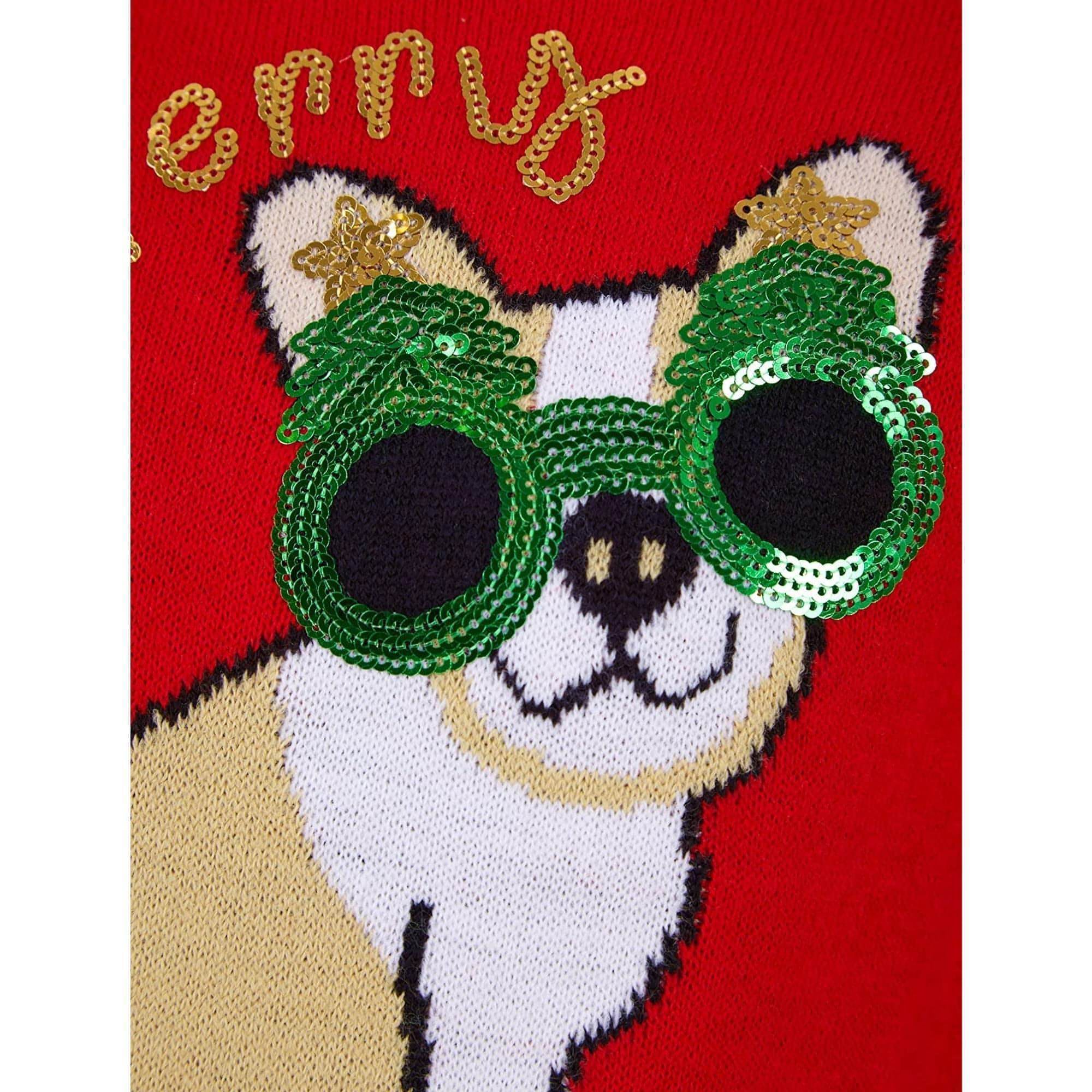 Christmas Glasses Dog Junior Christmas Jumper - Red - Image 3