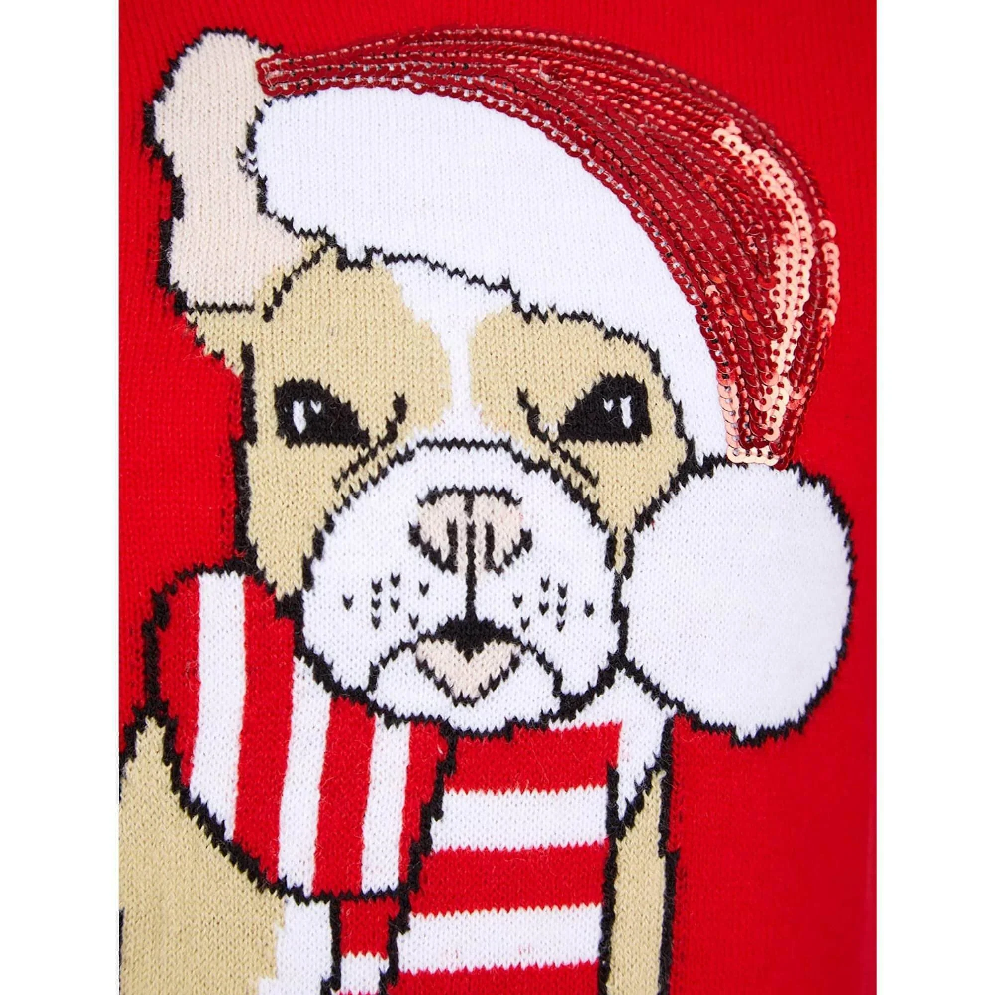 Christmas Santa Dog Junior Christmas Jumper - Red - Image 3