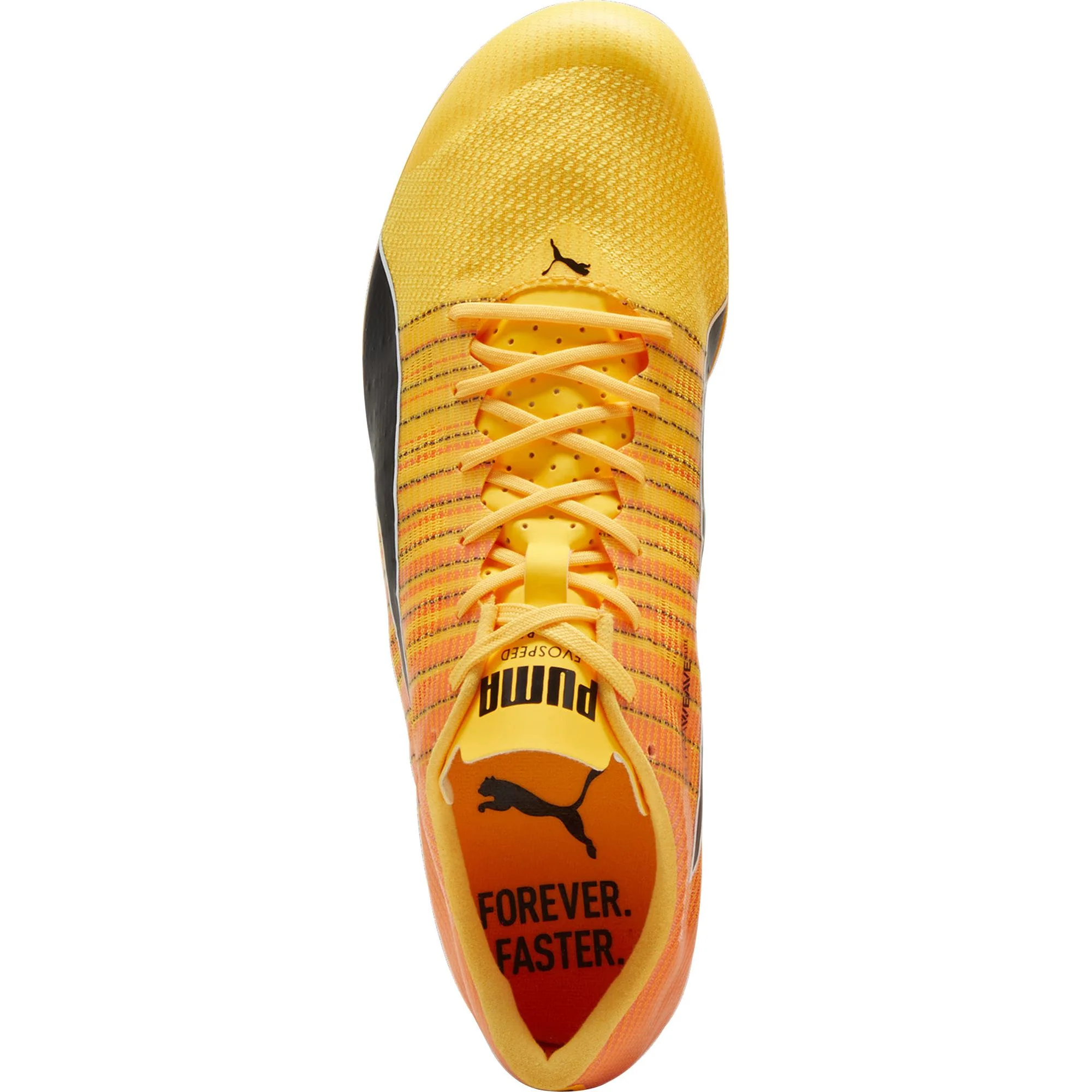 Puma evoSpeed Brush 6 Running Spikes - Orange - Image 4