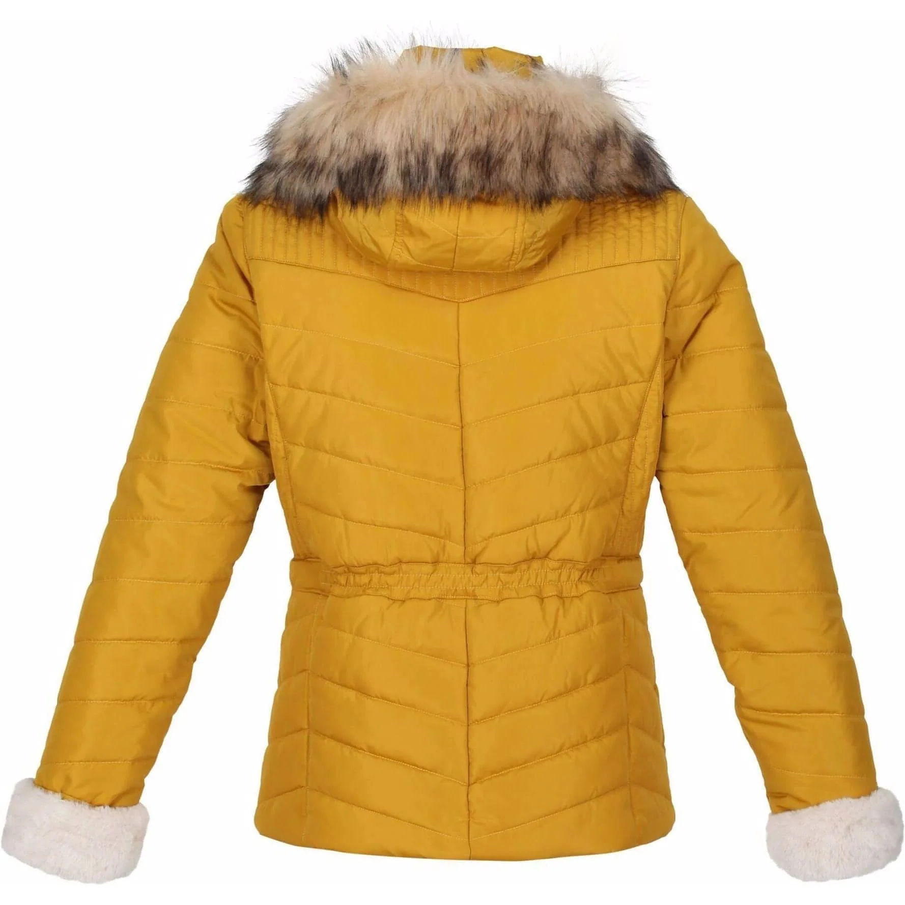 Regatta Winslow Womens Insulated Jacket - Yellow - Image 6